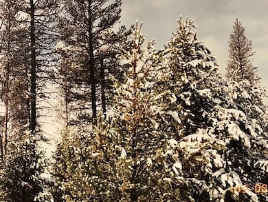 4800 Bear Flat (Nf 86), Chemult, OR 97731 - photo 2