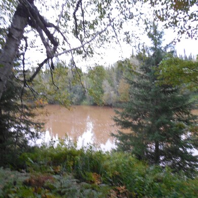 2 acres on the Pine River