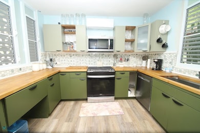 K5 H8 Carr 3, HuMacAo, PR 00791 - photo 4