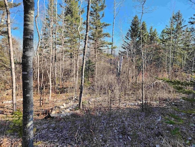 View of undeveloped land
