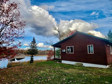 17501 S Blueberry Rd, Menahga, MN 56464 - photo 5