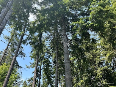 0 Walberg Rd unit NWM2397686, Chinook, WA 98614 - photo 3