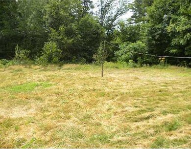 Yard/Garden.