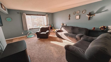 621 Elm St, Paynesville, MN 56362 - photo 7