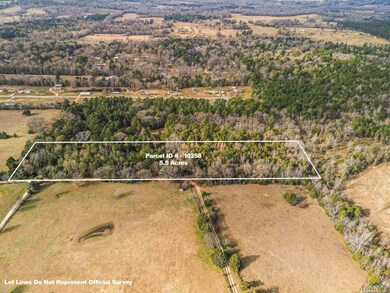 Bird's eye view featuring a rural view