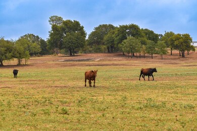 TBD Cr 4698 14 Acres, Boyd, TX 76023 - photo 5