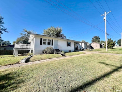 314 E 8th St, Metropolis, IL 62960 - photo 3