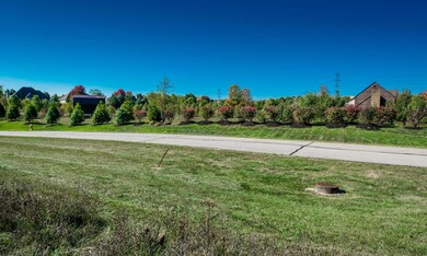 6905 Harriott Rd, Powell, OH 43065 - photo 6