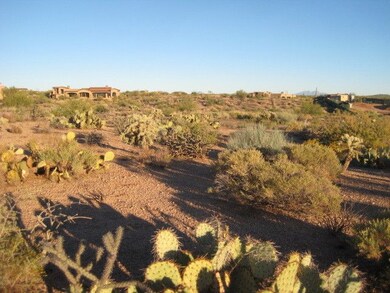 South View 2