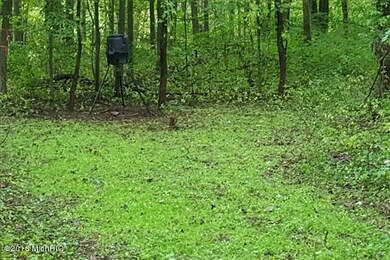Feeder & Food Plot-WR