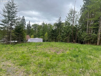 0 Ave unit 439855536, Vernonia, OR 97064 - photo 5