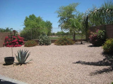 Backyard view