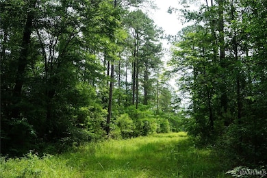 640 Barnes Rd, Pike Road, AL 36064 - photo 7