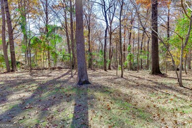 131 Canix Ln, Hoschton, GA 30548 - photo 4