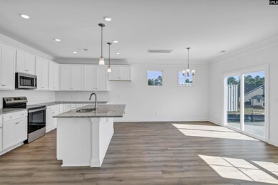 624 Thunder Gulch Ave, Lexington, SC 29073 - photo 6