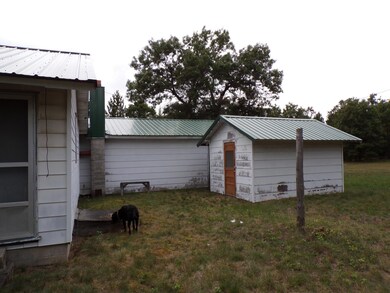 Back of house and shed