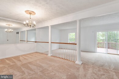 300 Park Cove Dr, Stafford, VA 22554 - photo 4