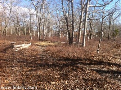 52 Doctor Fisher Rd, West Tisbury, MA 02568 - photo 2