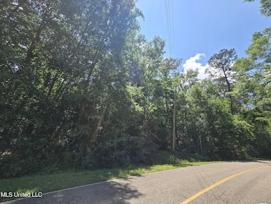 116 E Sunnybrook Rd, Carriere, MS 39426 - photo 2