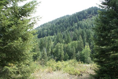 Mountain view and County Rd