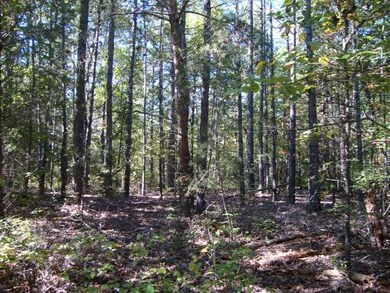 0 Slink Shoals Rd unit 3257290, Linden, TN 37096 - photo 5