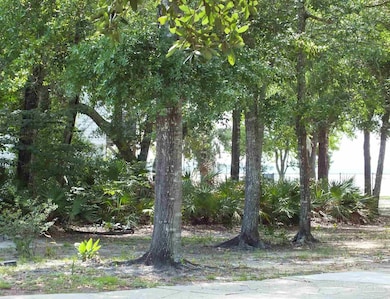 000 Eventide Rd, Milton, FL 32583 - photo 5