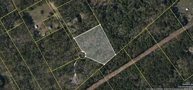 donnelly aerial boundaries - satellite