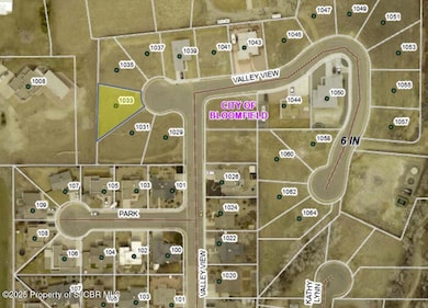 1033 Valley View Dr, Bloomfield, NM 87413 - photo 7