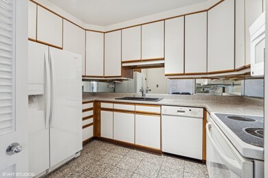 100 East Bellevue unit 30C, Chicago, IL 60611 - photo 7