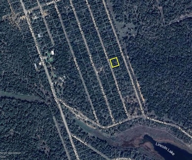 TBD Hickory St, Paige, TX 78659 - photo 3