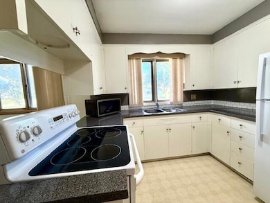 106 N Mcphail Ave, Caledonia, MN 55921 - photo 4