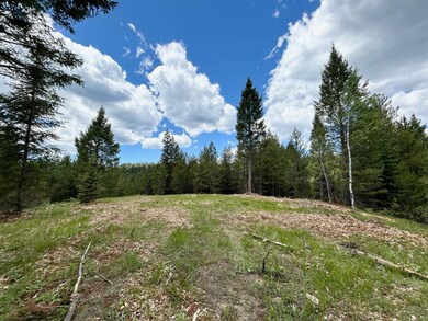 Lot 31 Sawtooth Loop unit Lot 31, Cascade, ID 83611 - photo 3