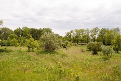 5894 Ray Knight Dr, Dexter, MI 48130 - photo 3