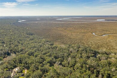201 Saint Annies Ln, St. Simons, GA 31522 - photo 6