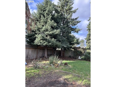 1205 Mill St, Springfield, OR 97477 - photo 5