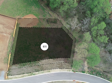 8413 Six String Dr, College Grove, TN 37046 - photo 3