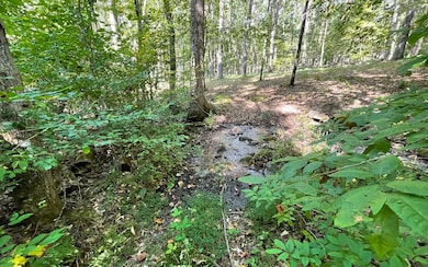 Additional View