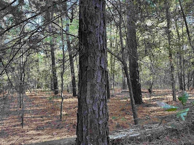 TBD County Road 1707, Jacksonville, TX 75766 - photo 5