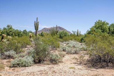7-web-or-mls-D46A6282