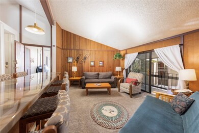 1173 Ski Hill Rd unit 131, Breckenridge, CO 80424 - photo 4