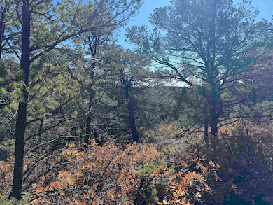 0 Wilde St, Timberon, NM 88350 - photo 5