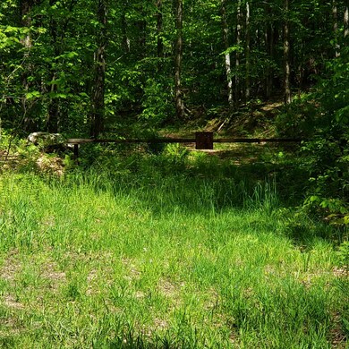 VAST Trail Gate
