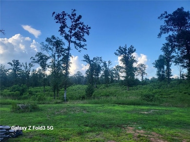 444 C B Byrd Rd, Many, LA 71449 - photo 2