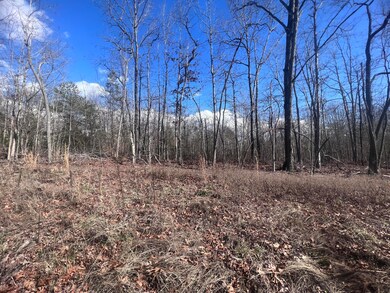 0 Kyuga Dr unit 1387412, New Hope, TN 37380 - photo 4