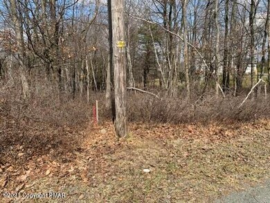 Lot# 781 English Ivy Ct, Long Pond, PA 18334 - photo 5