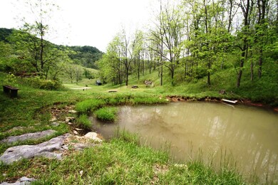 Pond