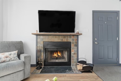 Detailed view of a fireplace with flush hearth and wood finished floors