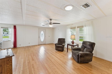 314 Lakeview Dr, Osteen, FL 32764 - photo 4