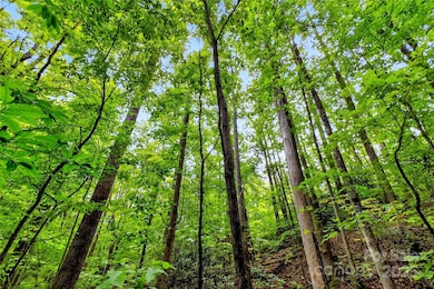 100 Comet Falls Trail unit 235, Black Mountain, NC 28711 - photo 5