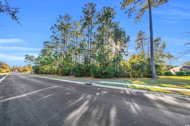 538 Nautilus Dr, Murrells Inlet, SC 29576 - photo 4